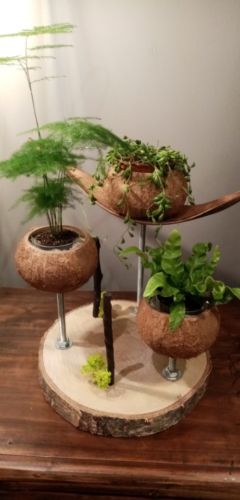 Pots réalisés avec éléments naturels - Création Carole Guillot-Merle