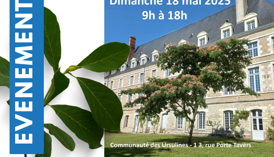 Fête des Plantes et des Arts de Beaugency 2025